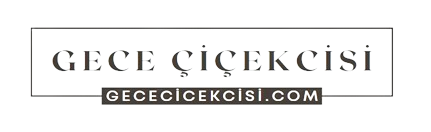 GECECİCEKCİSİ.COM GECECİCEKCİSİ.COM